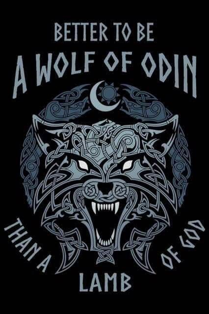 Better To Be A Wolf Of Odin Men's Short Sleeve  Printed T-shirt-