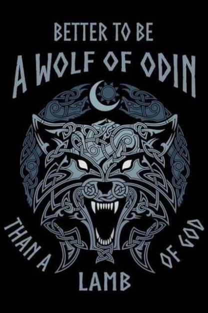 Better To Be A Wolf Of Odin Men's Short Sleeve  Printed T-shirt-