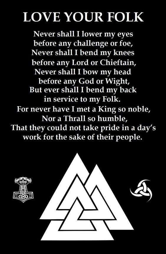 Love Your Folk Viking Men's Short Sleeve  Printed T-shirt-