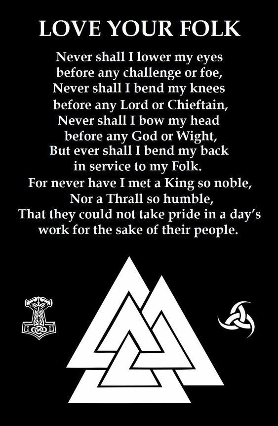 Love Your Folk Viking Men's Short Sleeve  Printed T-shirt-