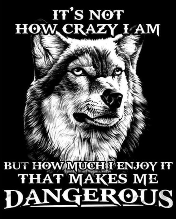 It's Not How Crazy I Am Men's Short Sleeve  Printed T-shirt-