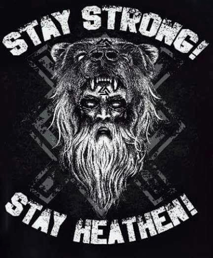 Stay Strong Stay Heathen Men's Short Sleeve  Printed T-shirt-