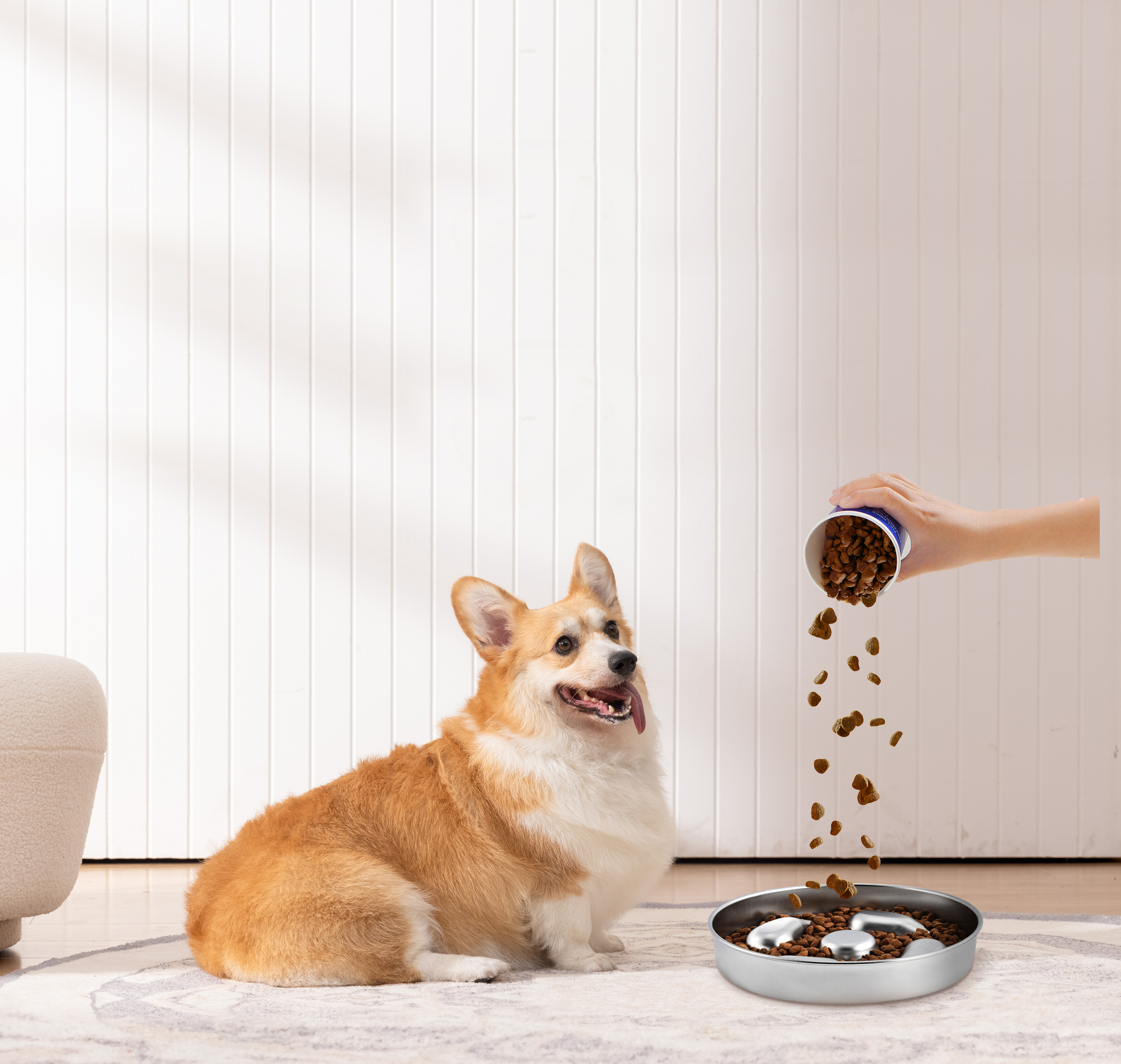 20oz Fun Feeder Slow Feeder Dog Bowl,Stainless Steel Non-Skid Pet Dog Water And Food Bowl