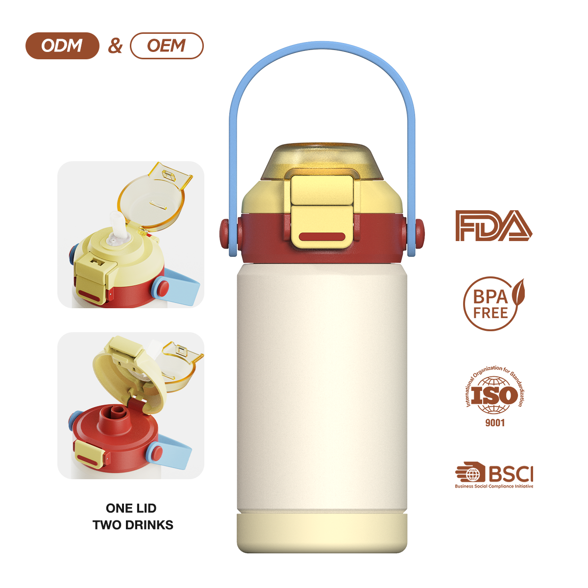 Double Drinking Lid with Straw Insulated Water Bottle