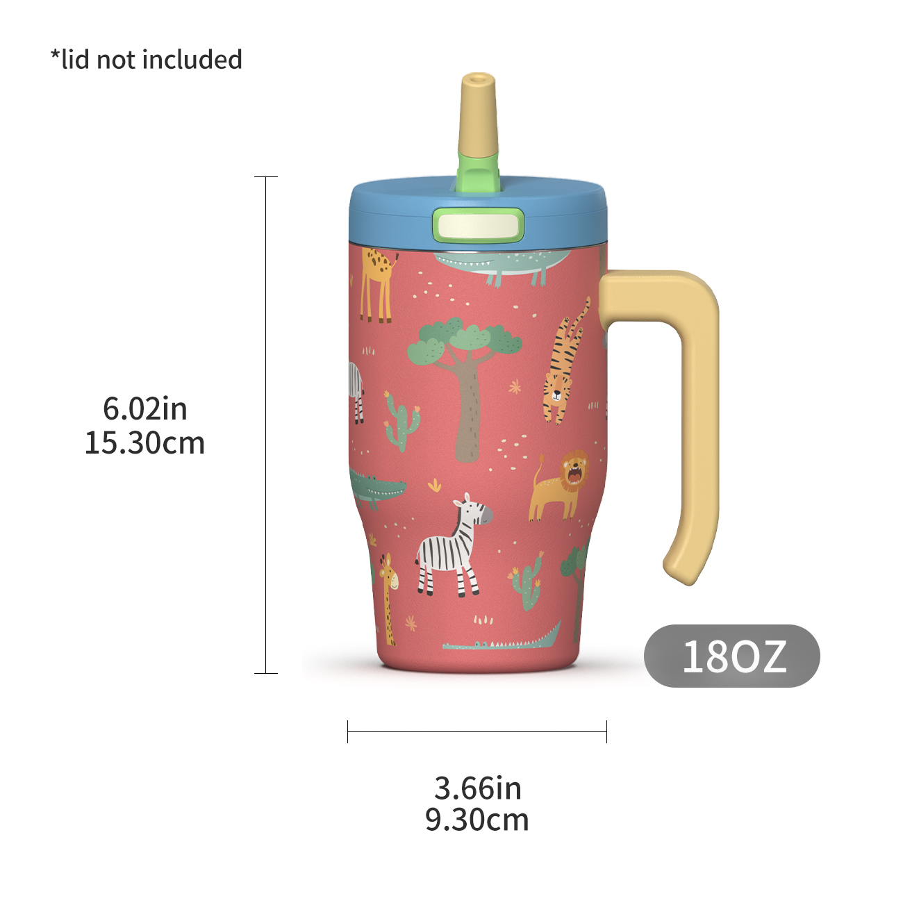 water bottle 