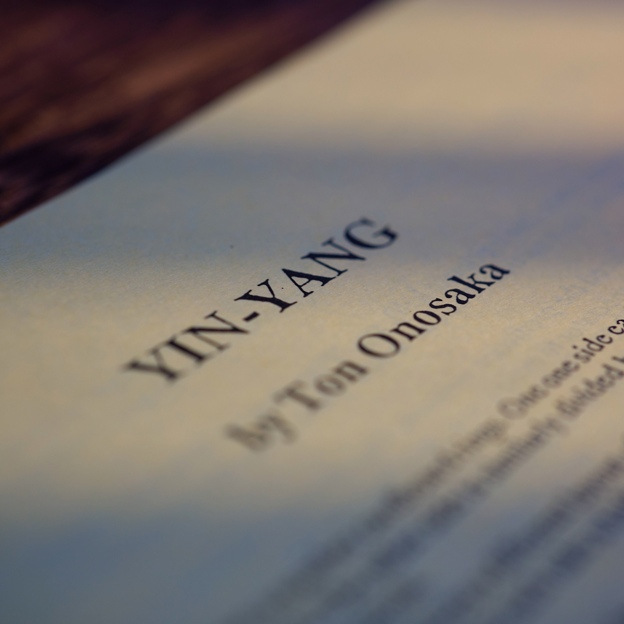 YIN-YANG by Ton Onosaka