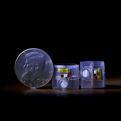 Tempo Elf by Wings Magic And Mental Tom