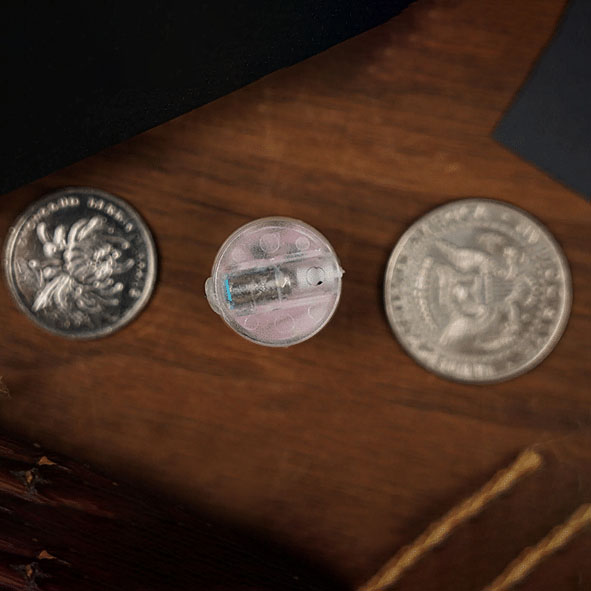 Tempo Elf by Wings Magic And Mental Tom