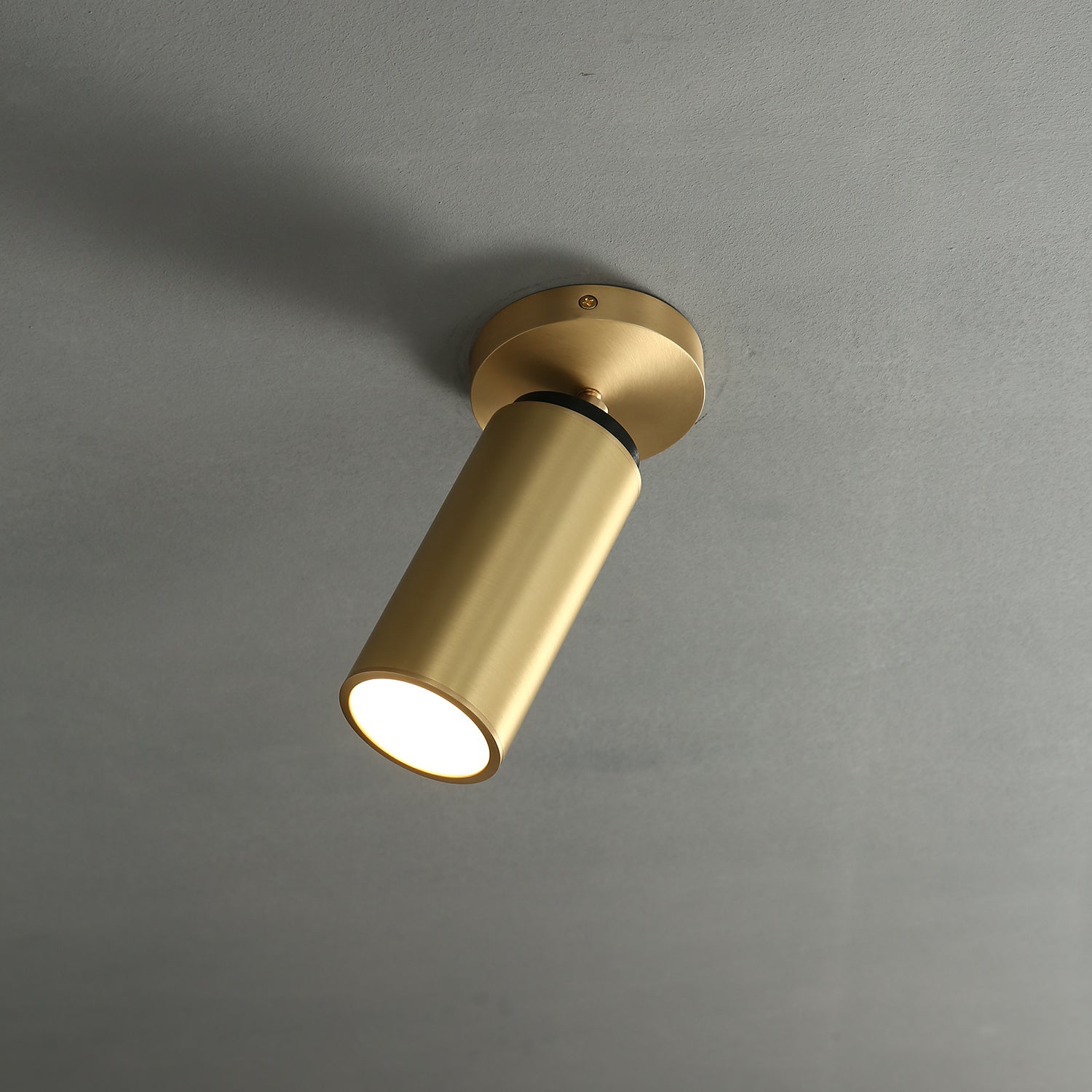 Champeaux Pivoting Flushmount