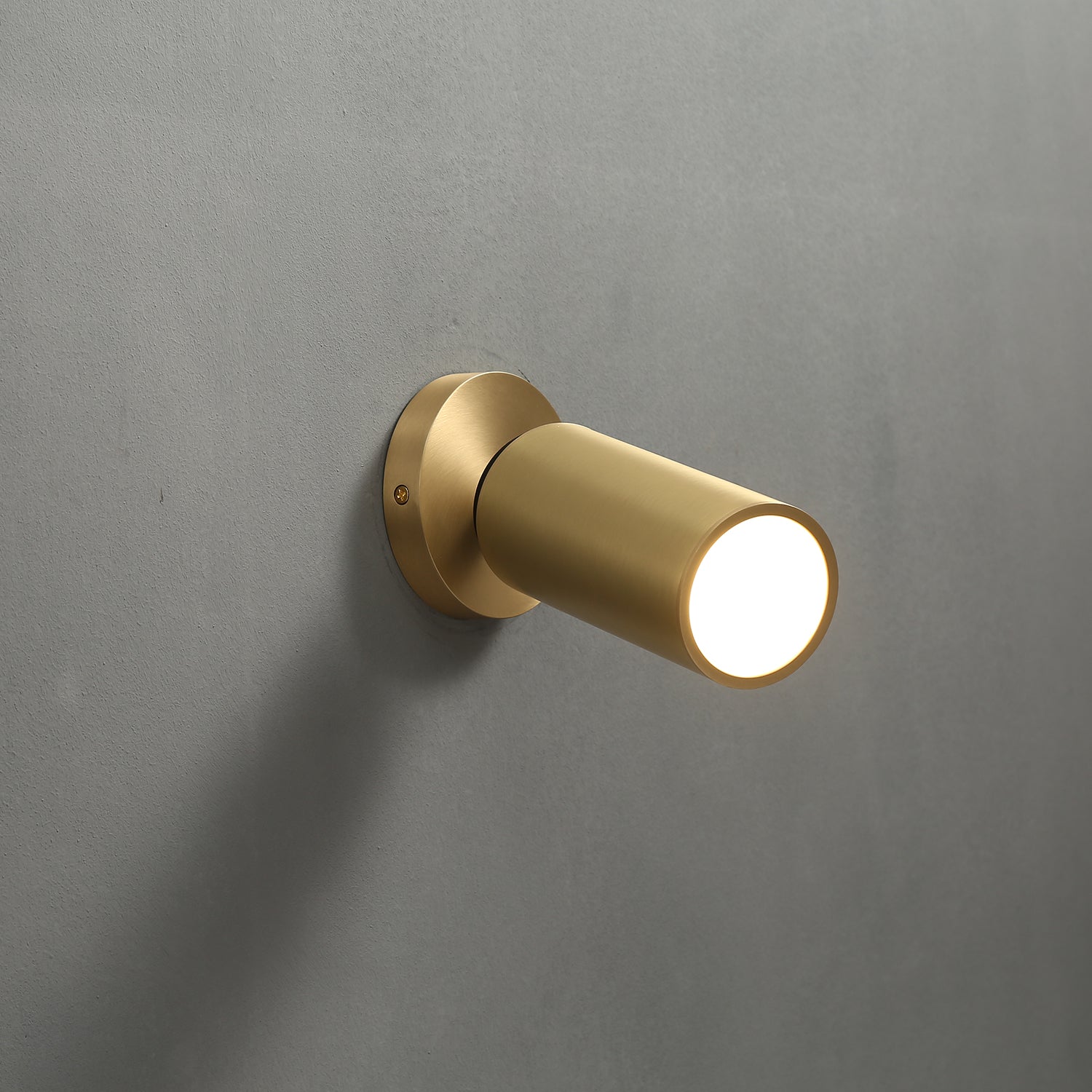 Champeaux Pivoting Flushmount