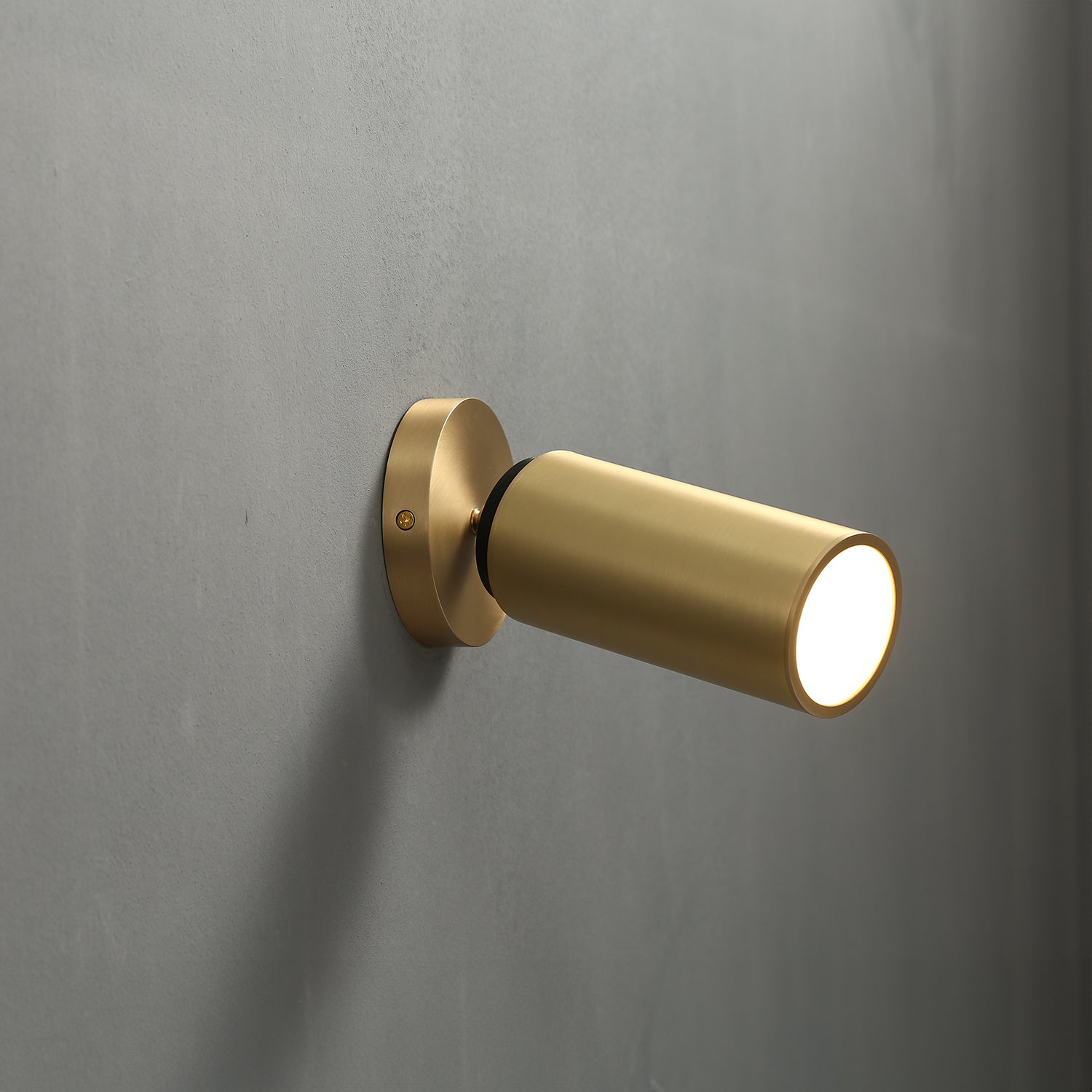 Champeaux Pivoting Flushmount