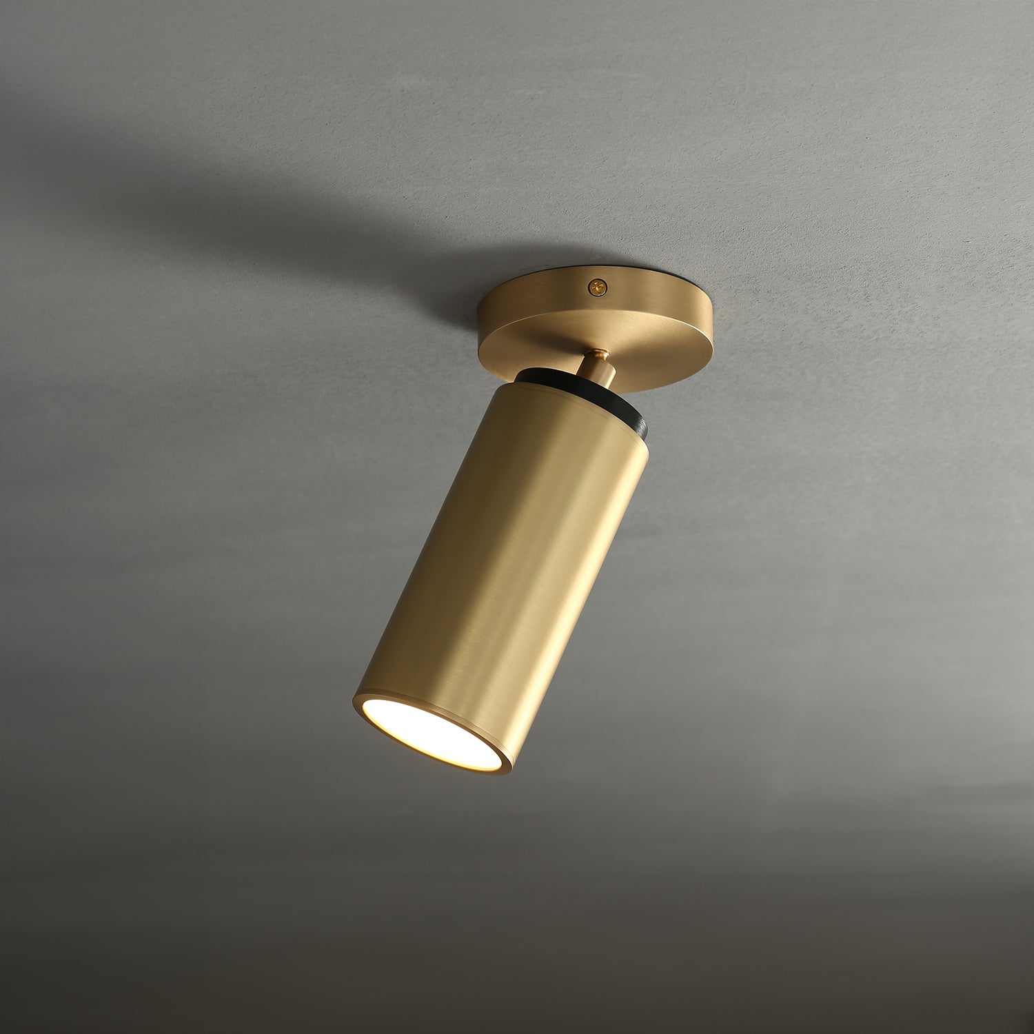 Champeaux Pivoting Flushmount