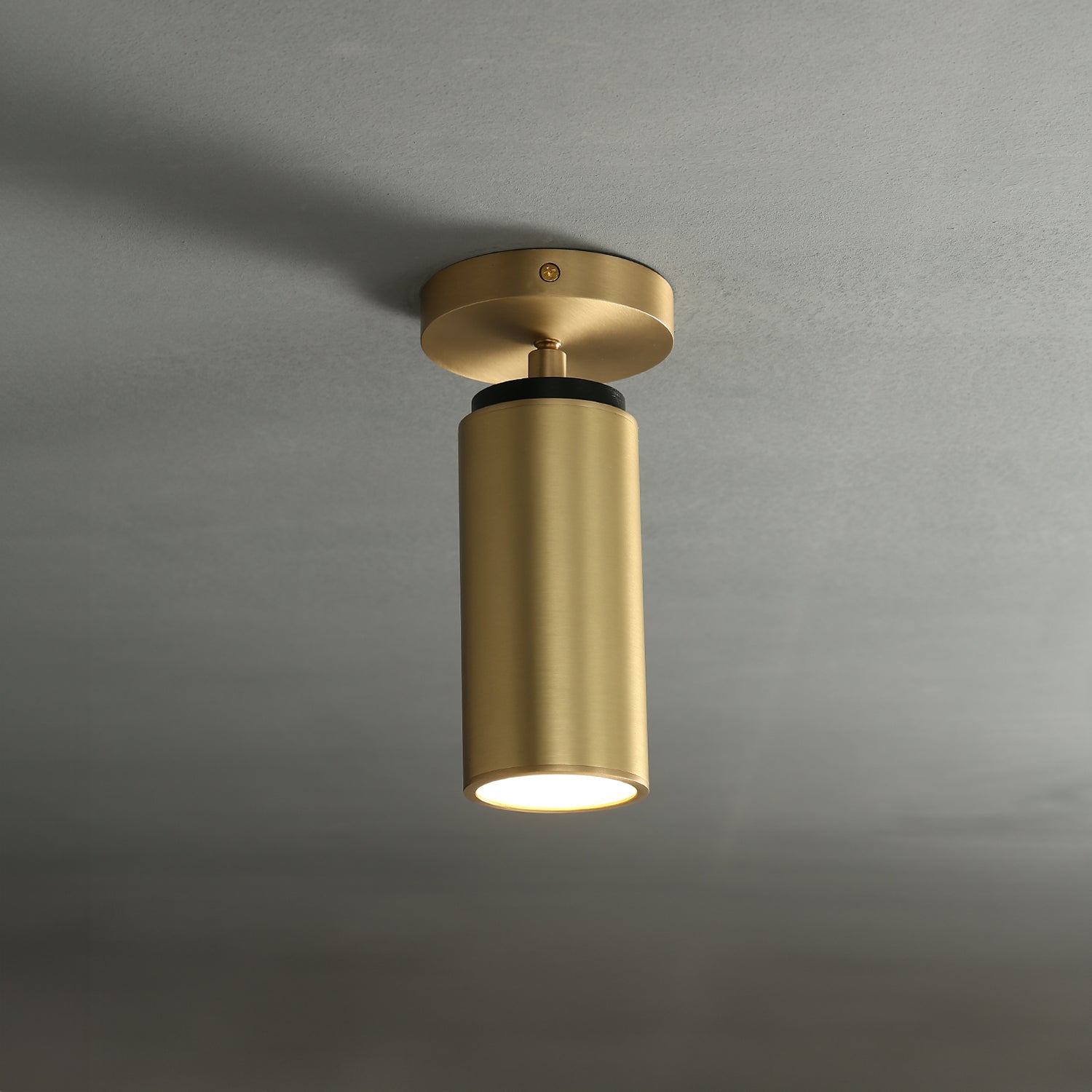 Champeaux Pivoting Flushmount