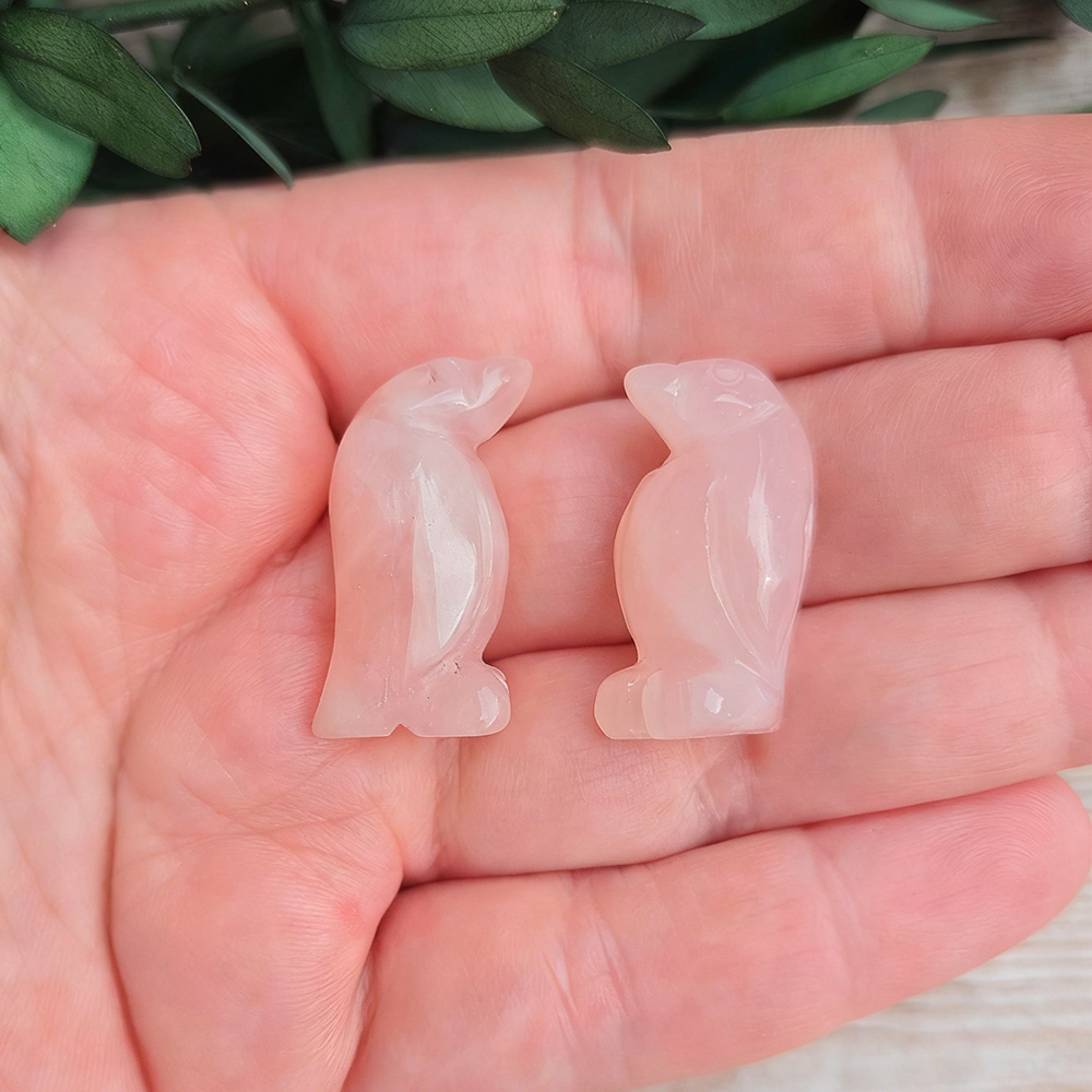 Love Letters Style CCXLIV