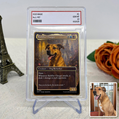 Custom Anime Pet Magic Card