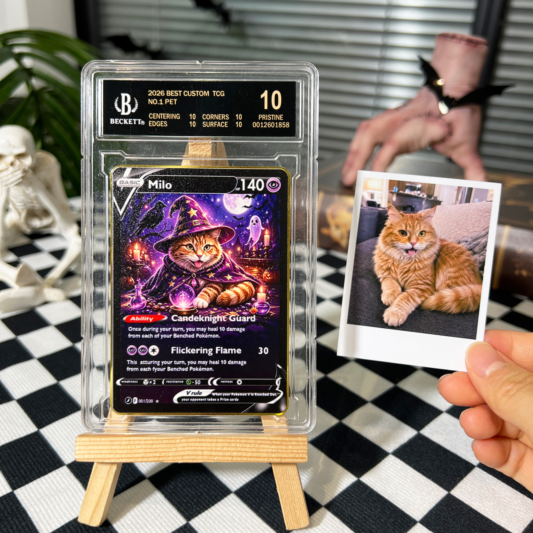 Halloween Magical Pets Custom Collectible Trading Cards 🎃