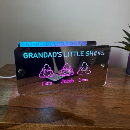 Dads Little Sh##s Father's Day Mirror Light