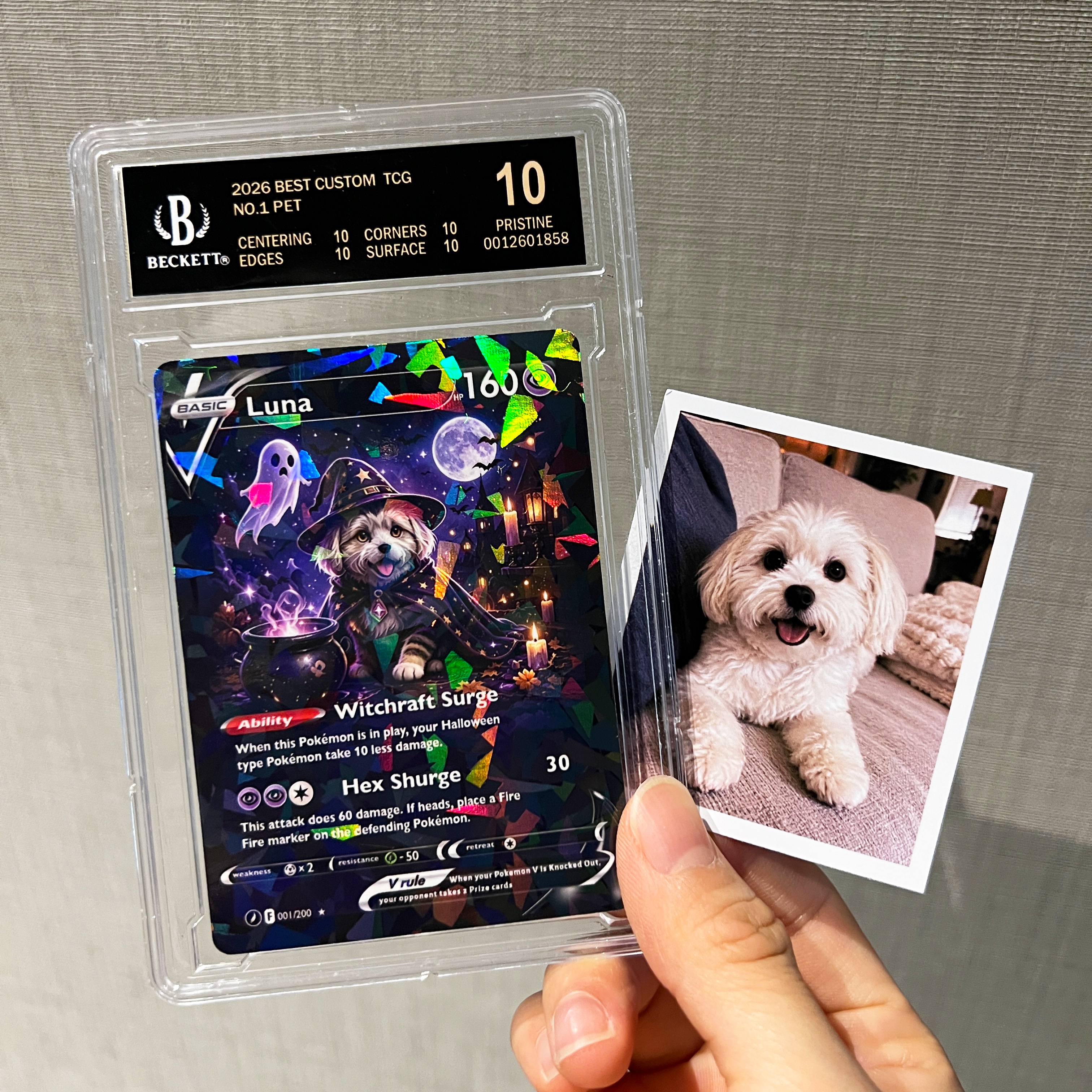 Halloween Magical Pets Custom Collectible Trading Cards 🎃