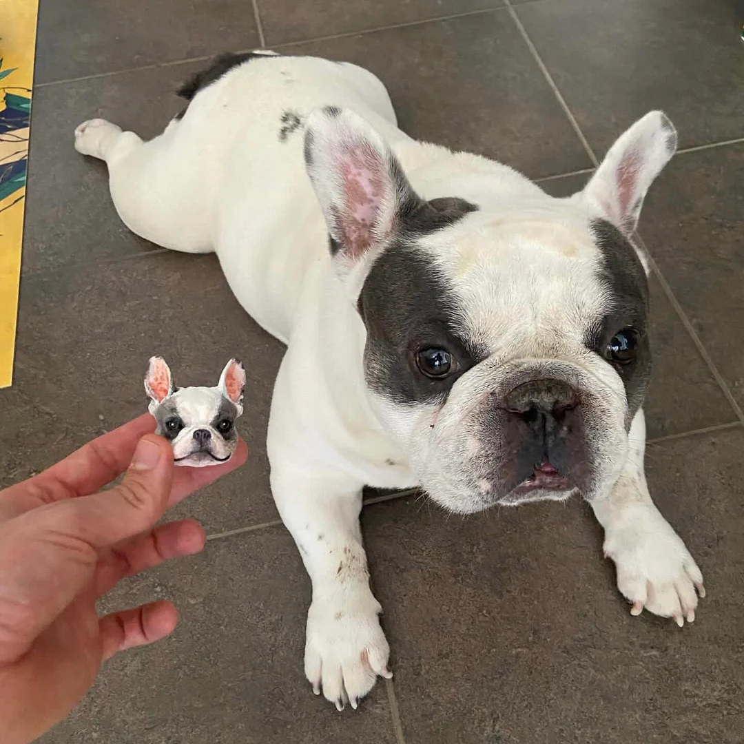 Personalized Magnetic 3D Pet Head Figurine
