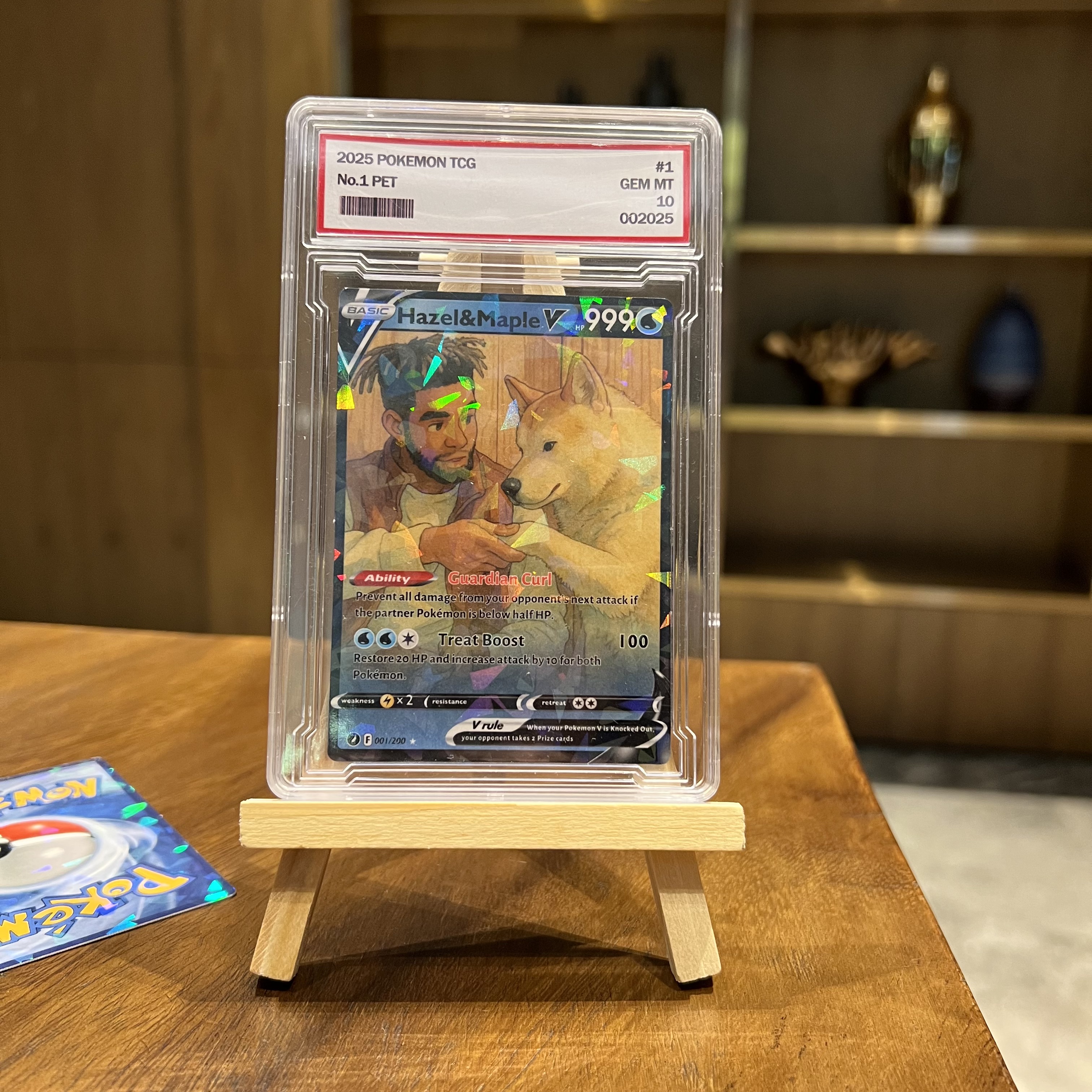 Custom Anime People and Petmon V Cards