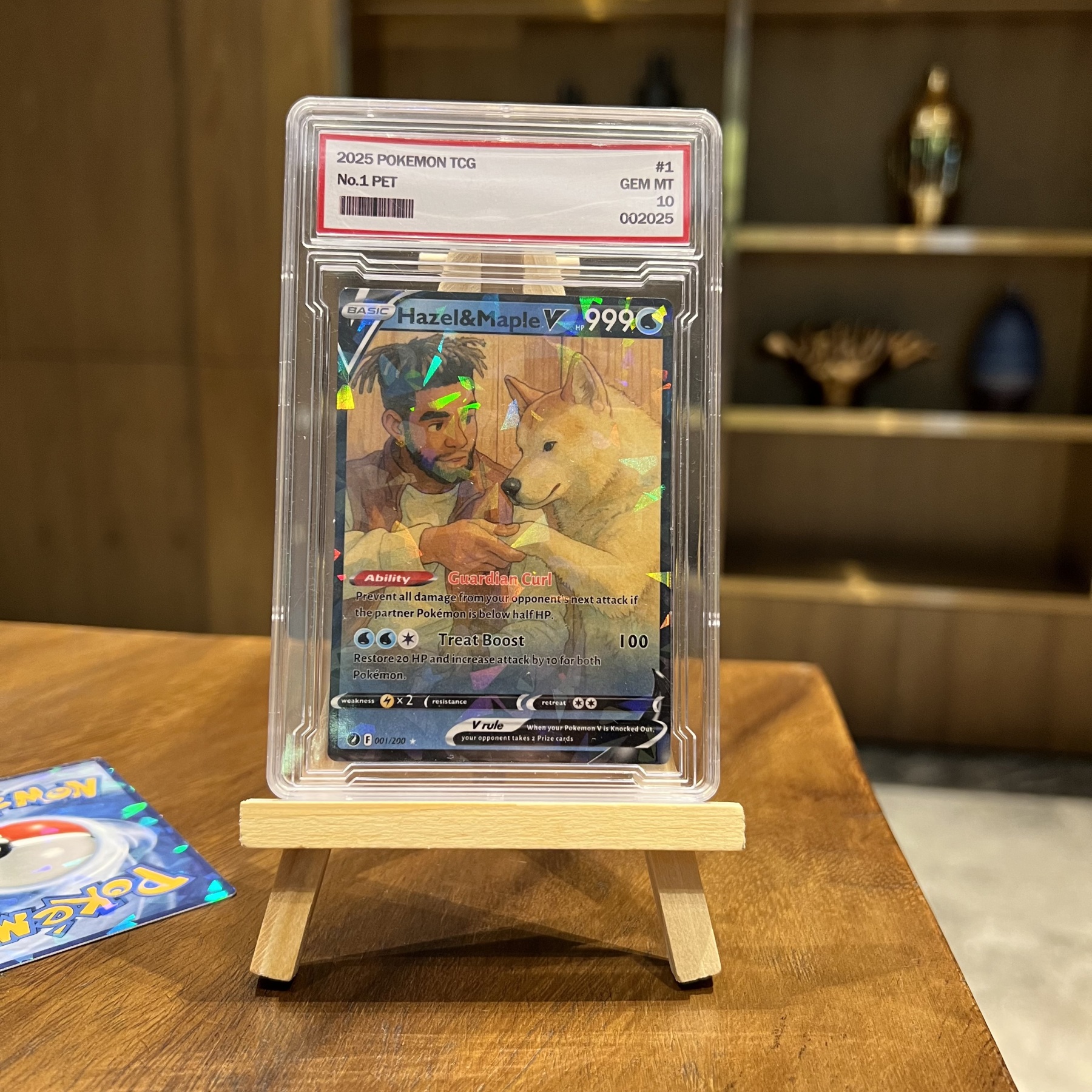 Custom Anime People and Petmon V Cards