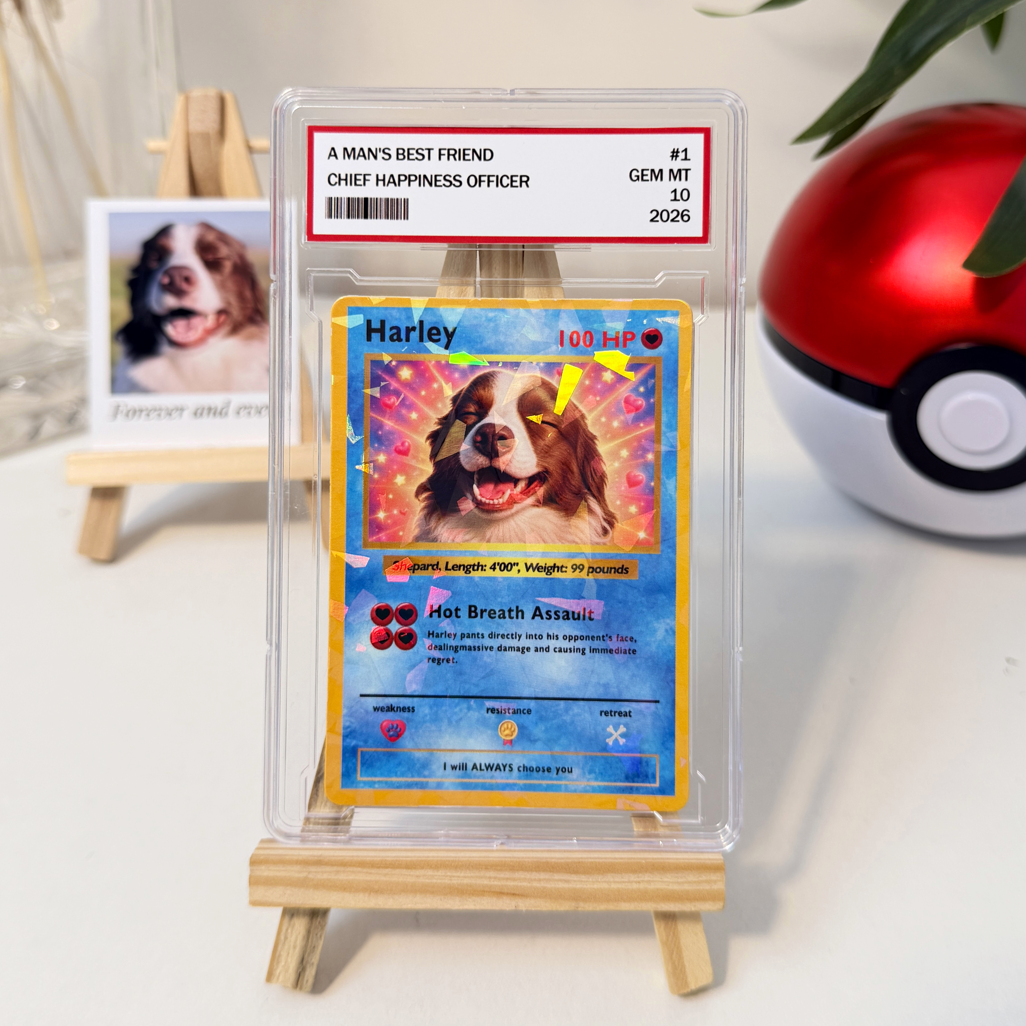 Turn Your Pet Into A Cartoon Anime Card