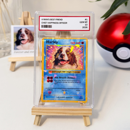 Turn Your Pet Into A Cartoon Anime Card