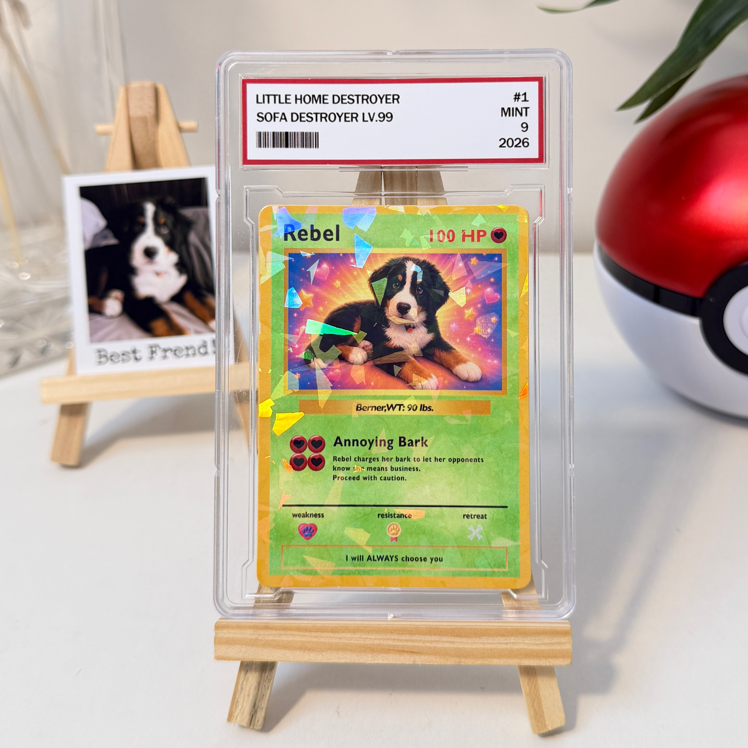 Turn Your Pet Into A Cartoon Anime Card