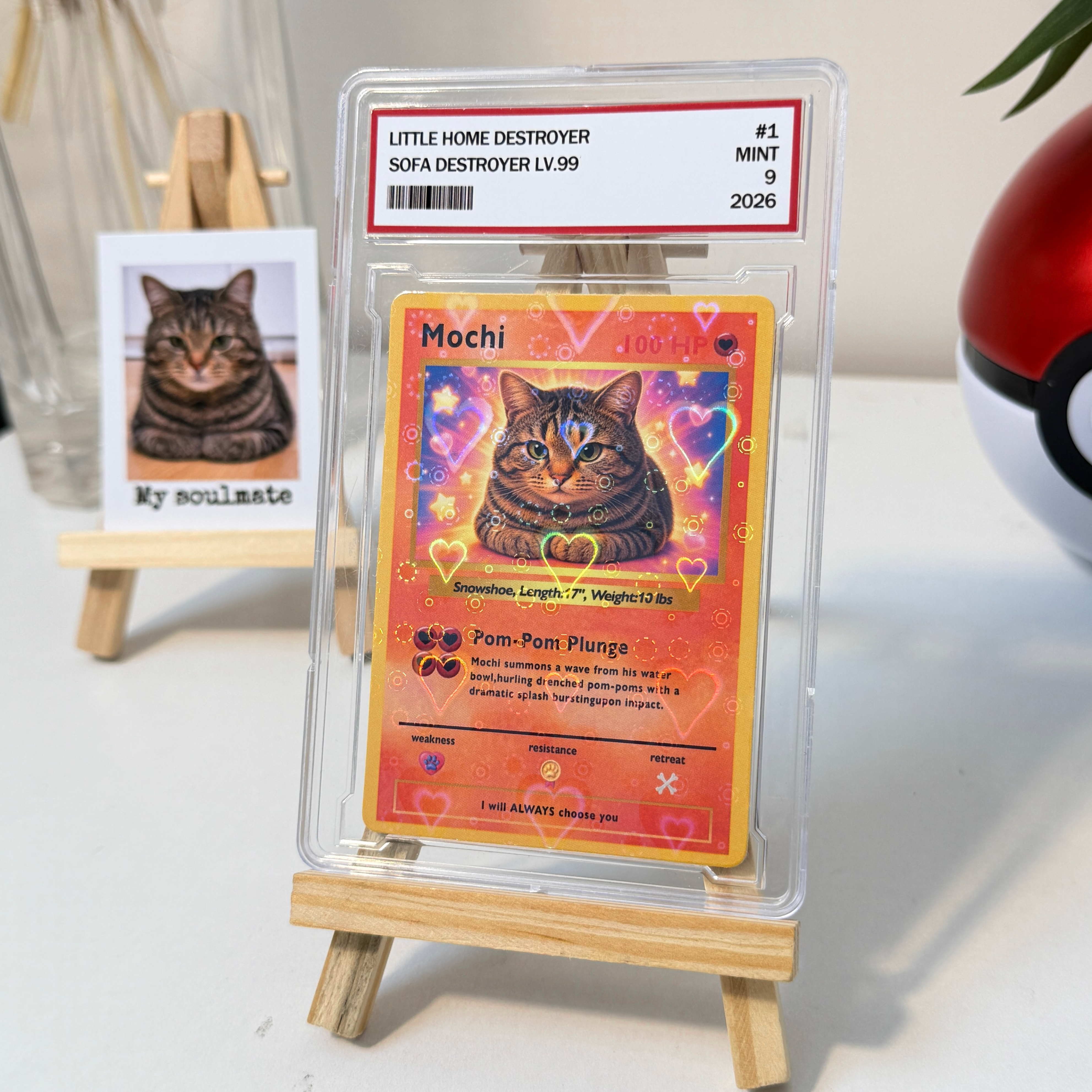 Turn Your Pet Into A Cartoon Anime Card