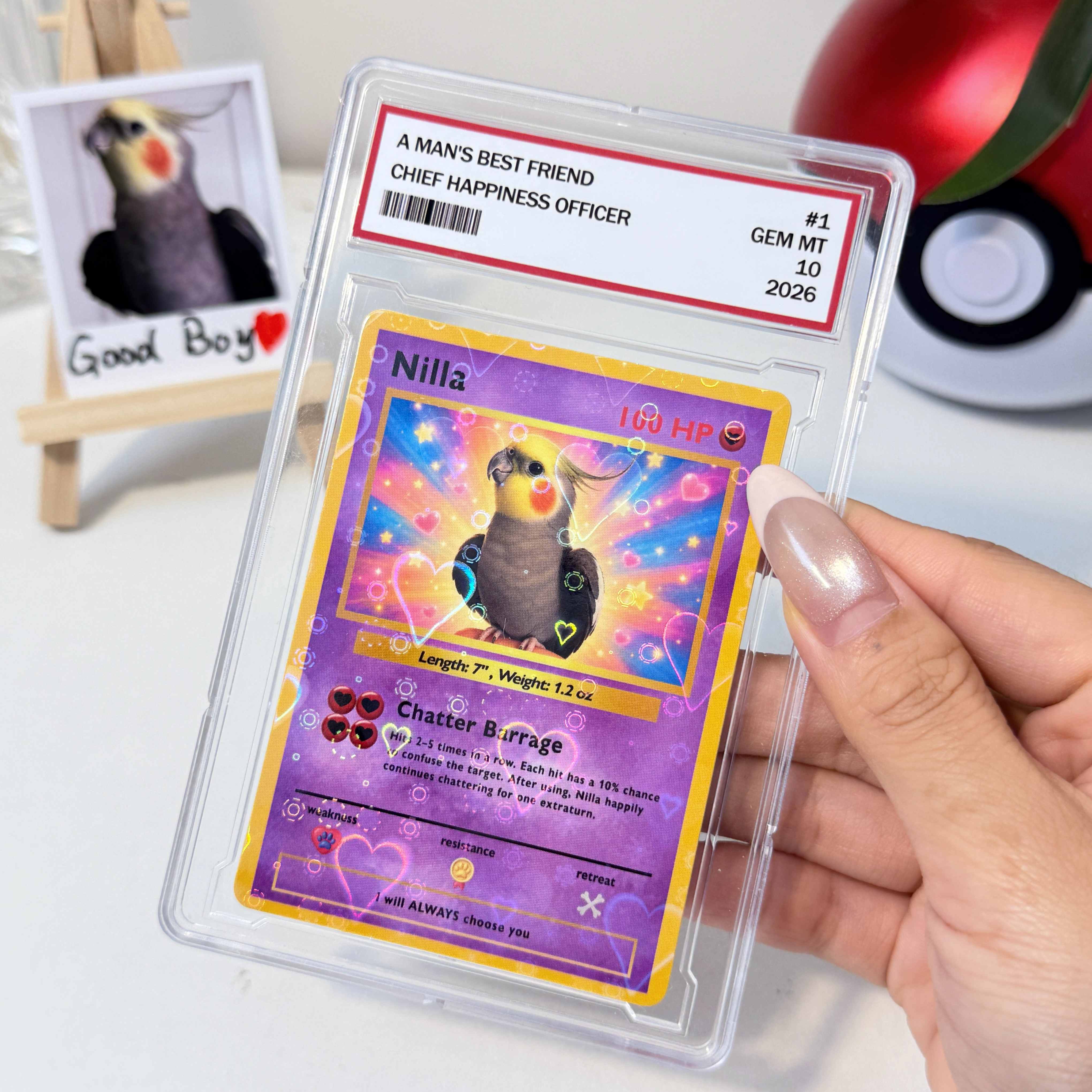 Turn Your Pet Into A Cartoon Anime Card