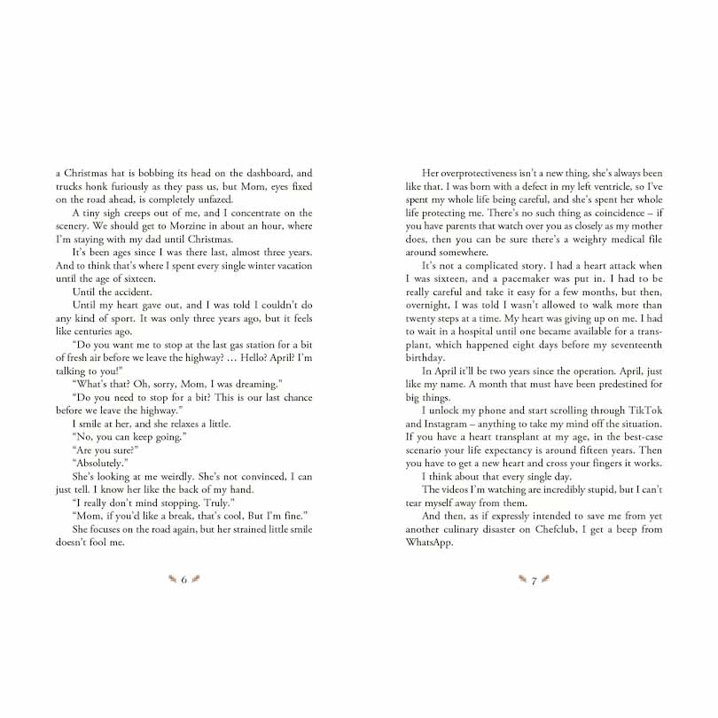 Christmas Advent Book 