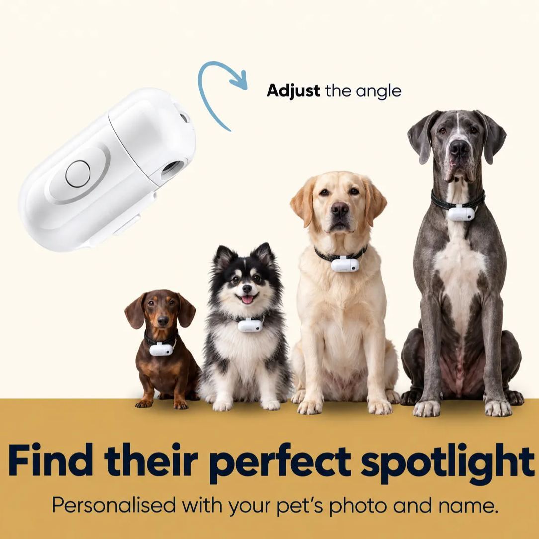Custom LED Pet Collar Projector Light - View