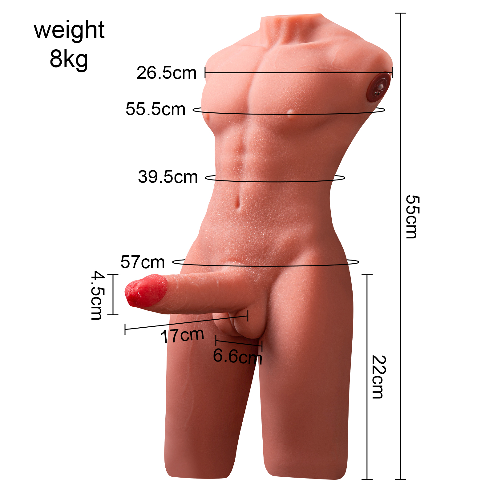 Jackson - 10.6LB Electric Pulse Tan Skin Male Torso Sex Doll