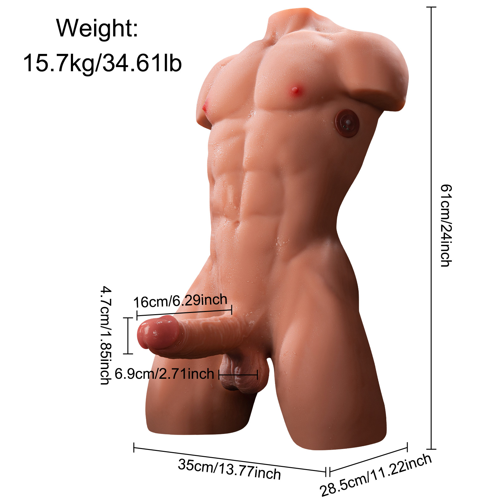 Male torso sex doll dimensions and weight details