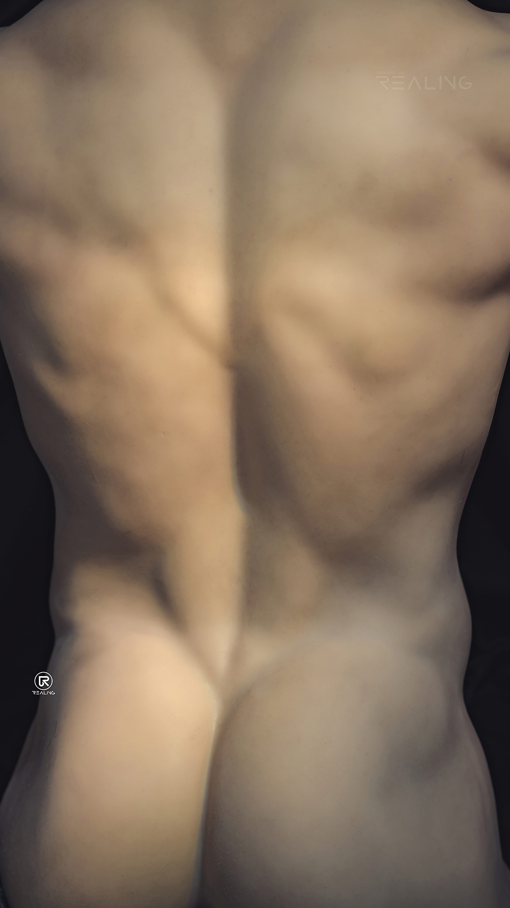 Laban - Silicone Head+TPE Body Male Sex Doll Torso