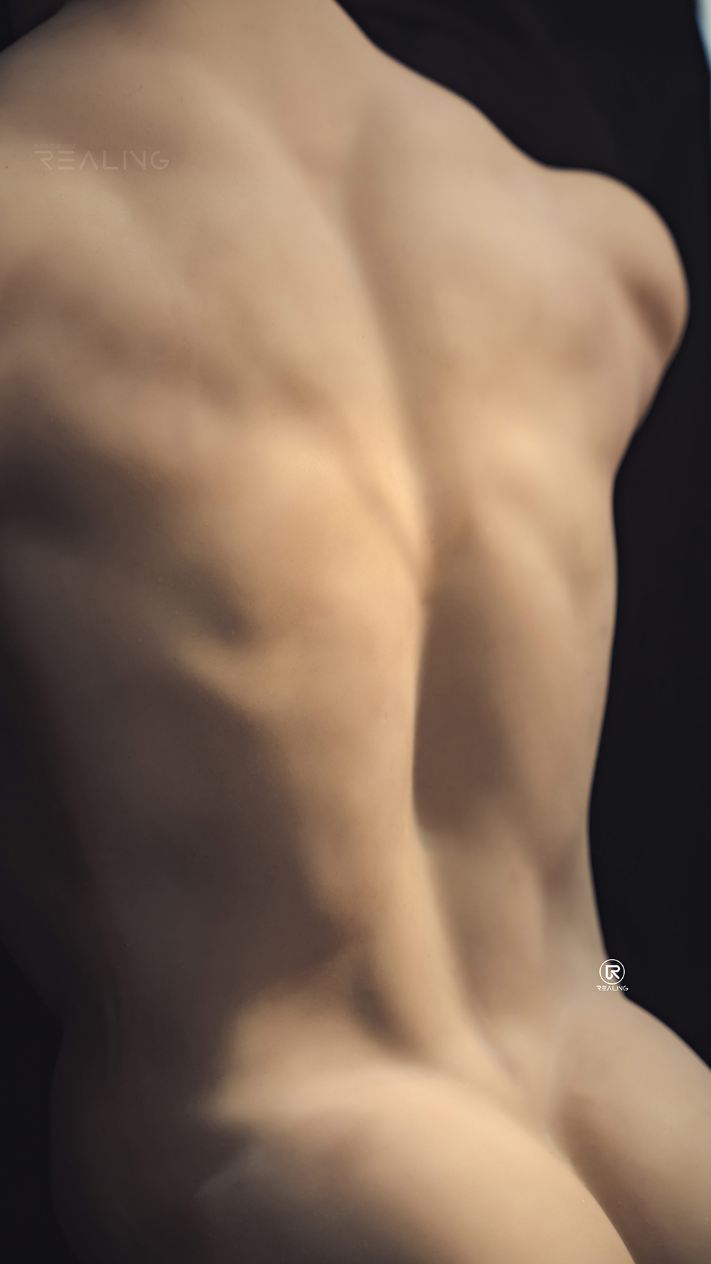 Laban - Silicone Head+TPE Body Male Sex Doll Torso