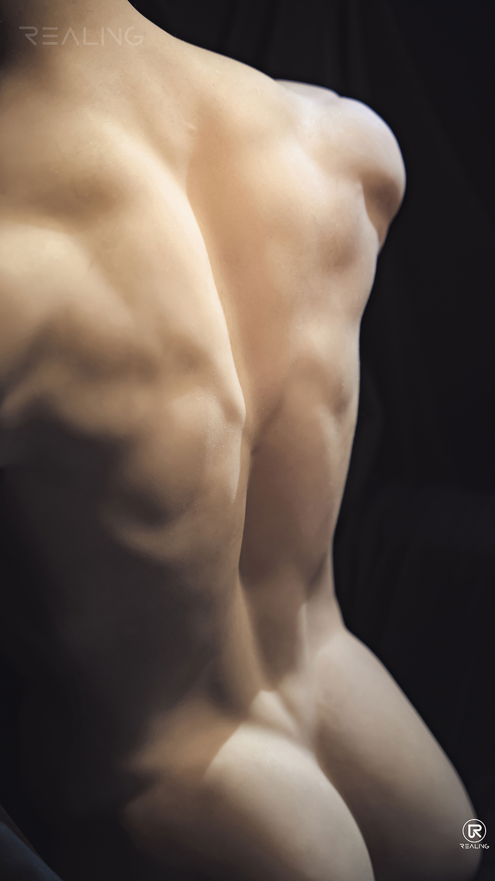 Lucius - Silicone Head+TPE Body Male Sex Doll Torso