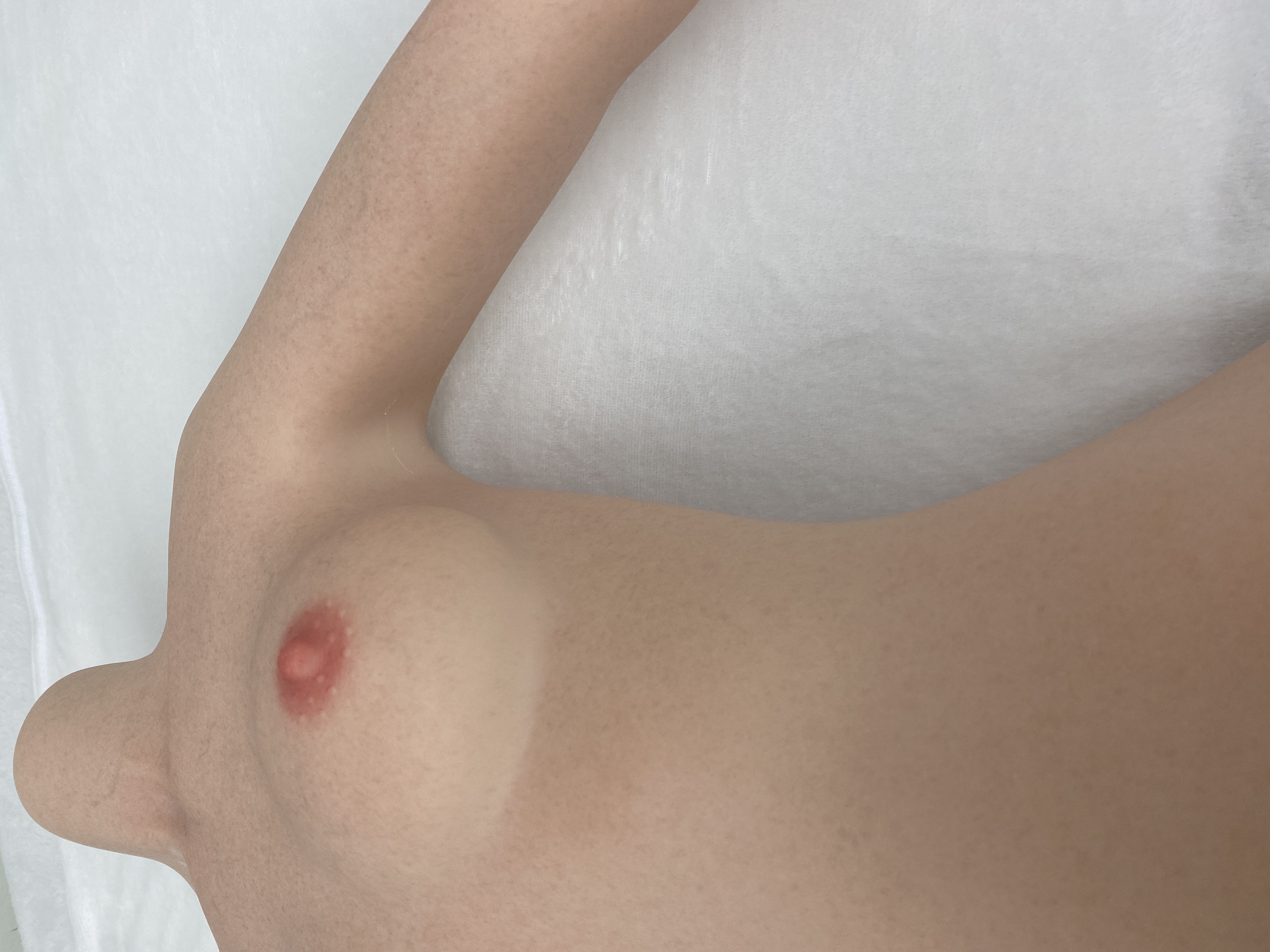 (EU Stock) 5ft2/159cm A Cup Silicone Miku Sex Doll - Anime Amy