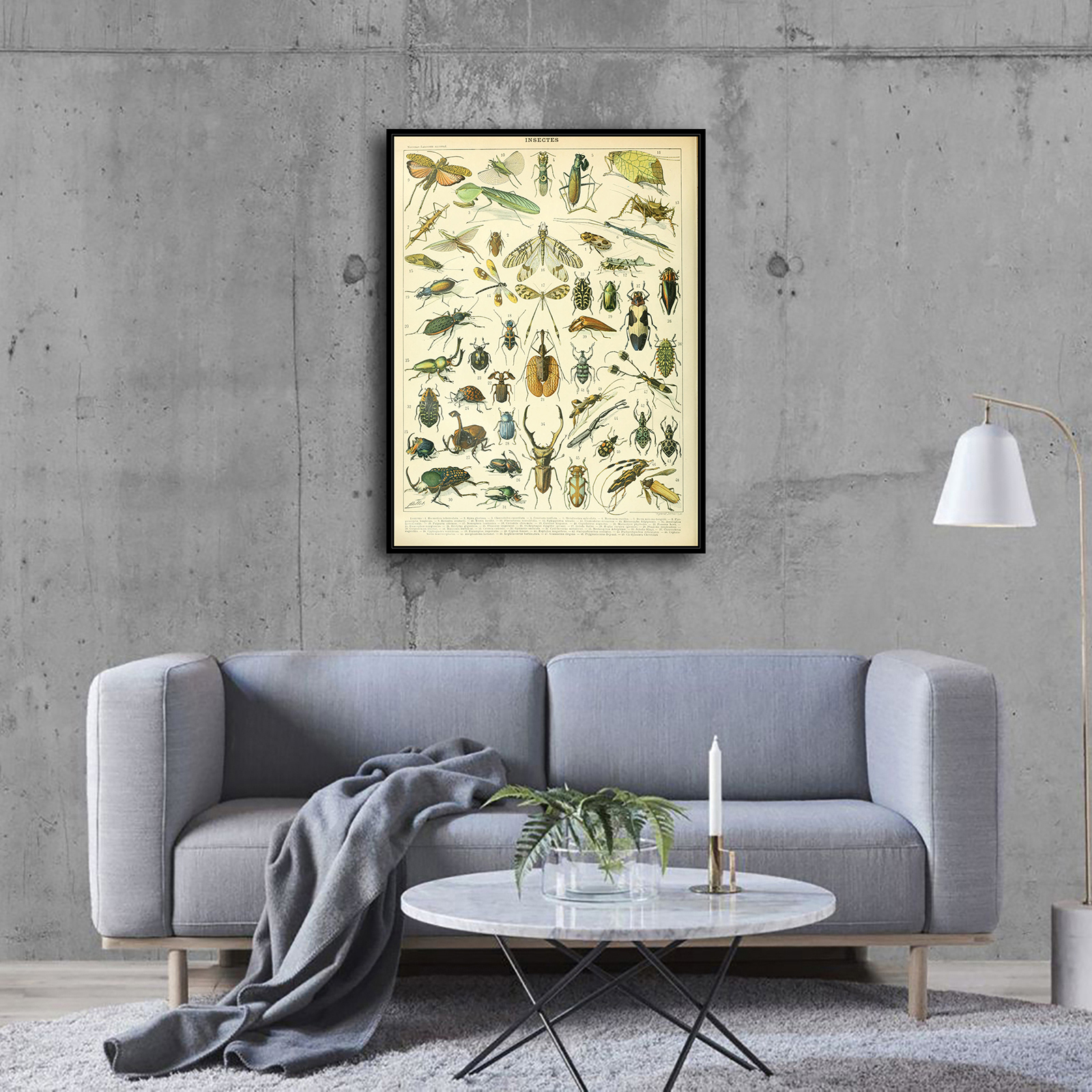 Adolphe Millot Poster Insects French Vintage HD Canvas Print Home Decor Paintings Wall Art Pictures - HX0491