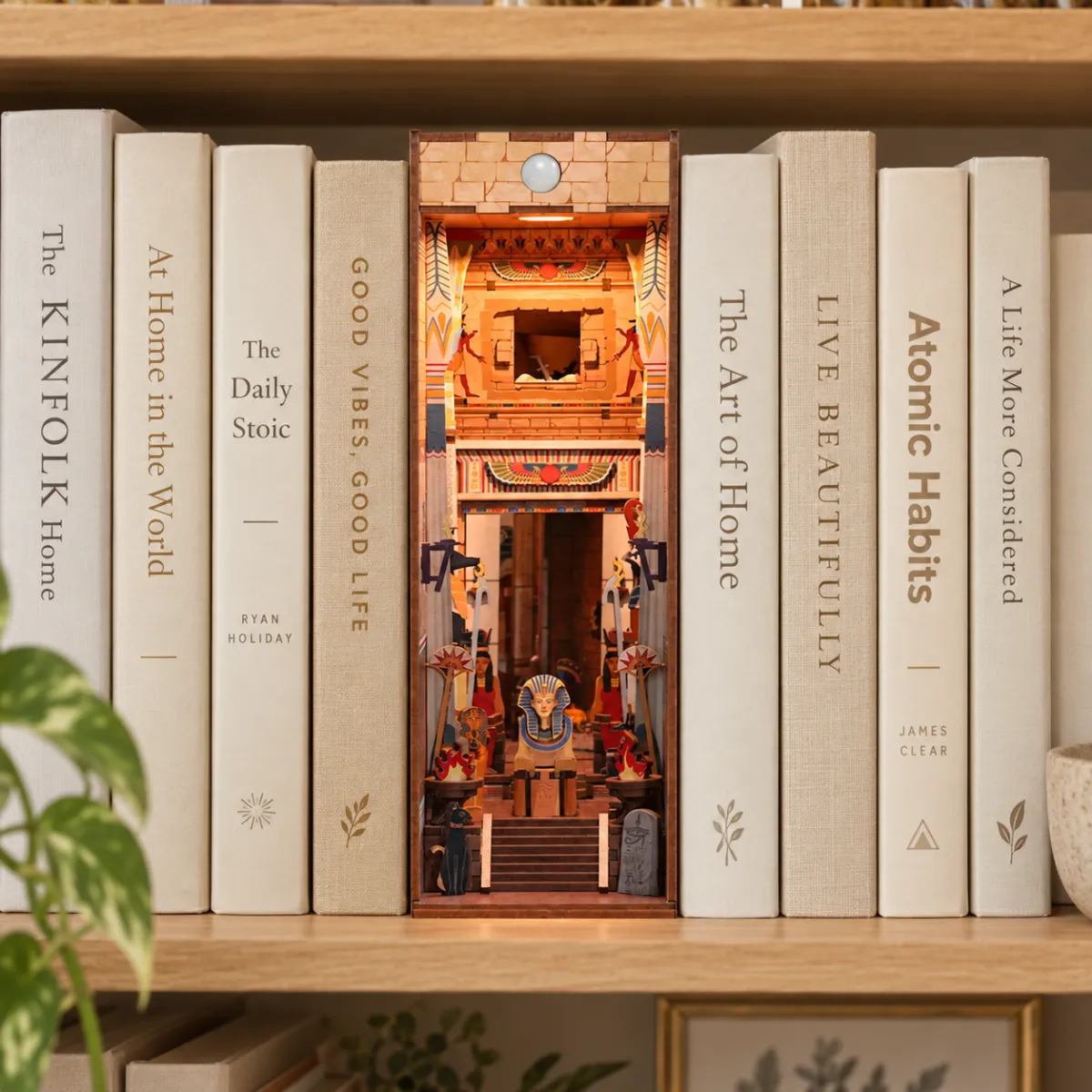 Eye-Catching Bookshelf Display
