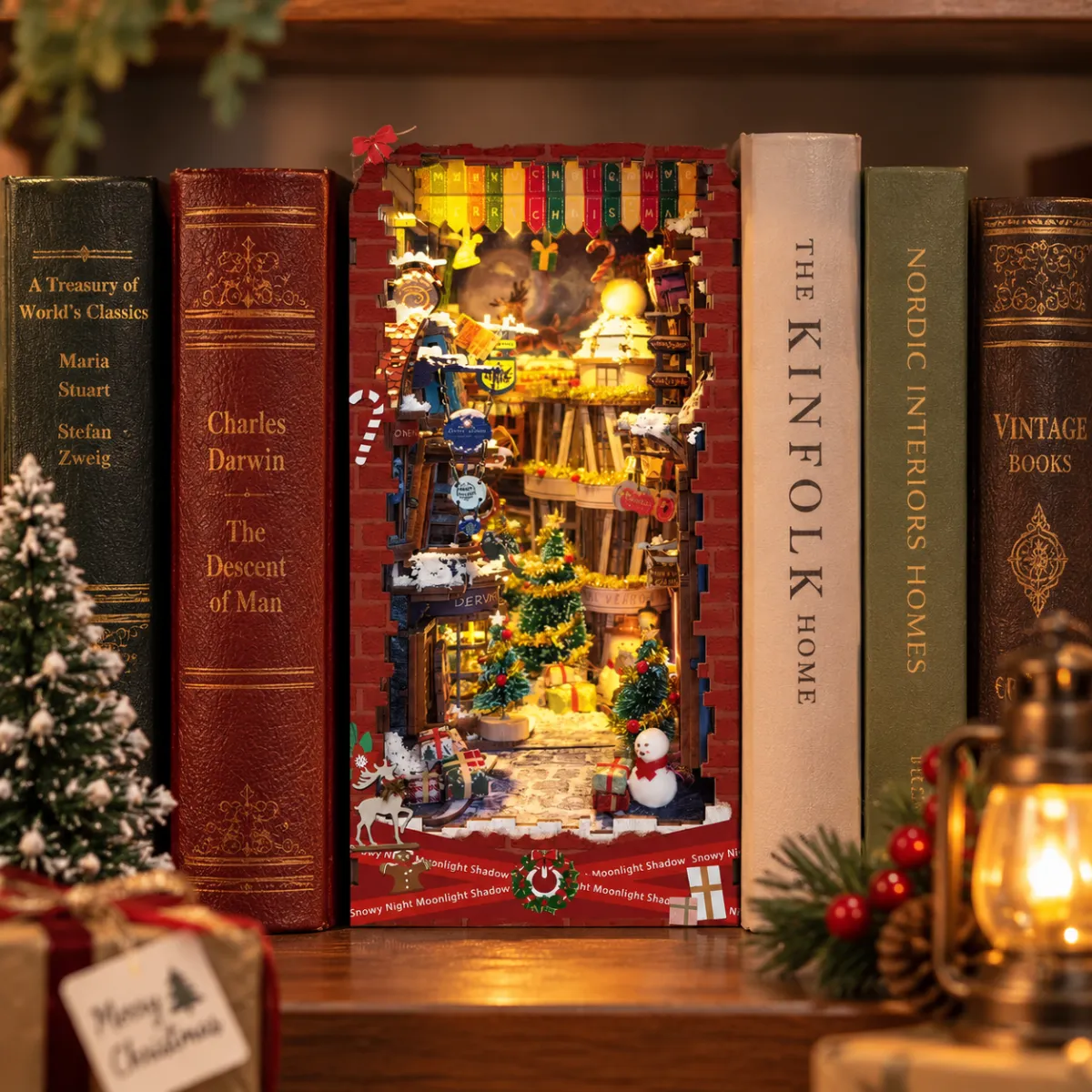 Eye-Catching Bookshelf Display