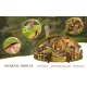 Le kit de mini-maison Magic Ring | Kit miniature à monter soi-même