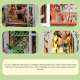 Garden House DIY Book Nook Kit-Book Nook World