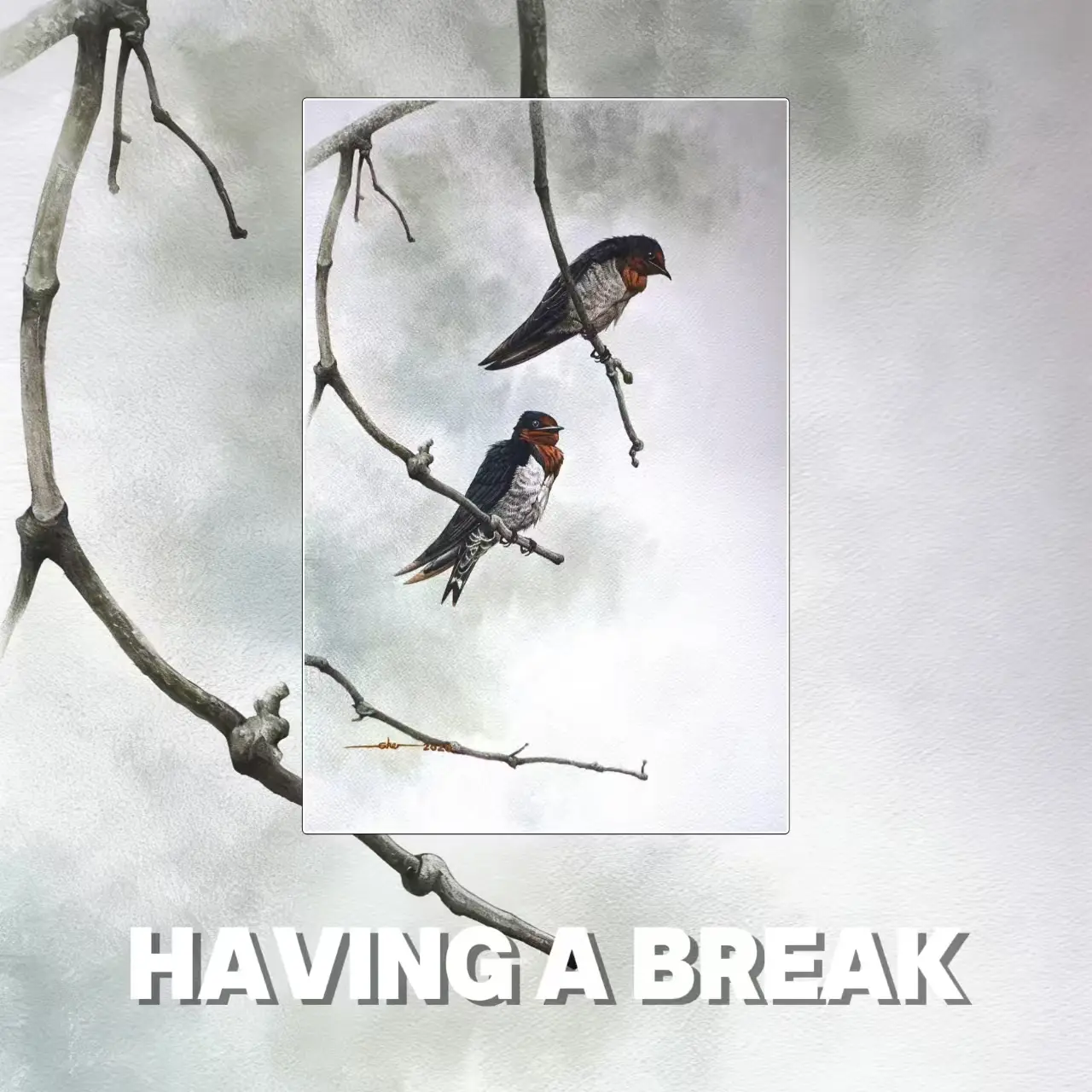 Postcards - Malaysia's Birds Collection (Series 2)