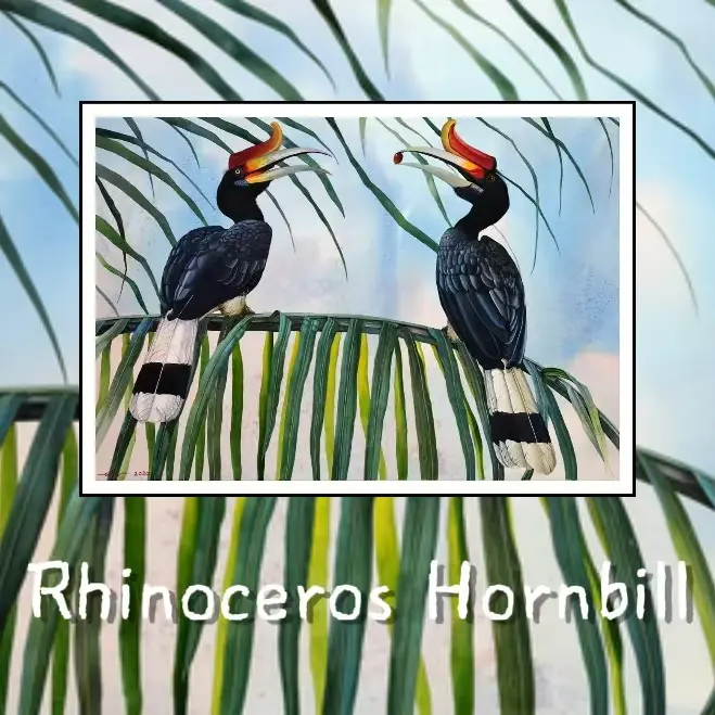 Postcards - Malaysia's Birds Collection (Series 3)