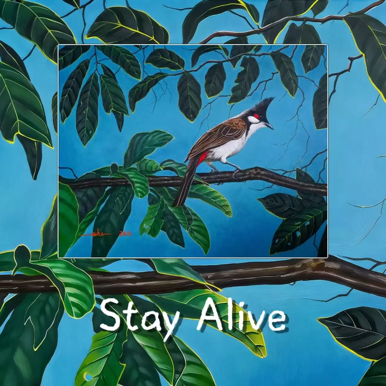 Postcards - Malaysia's Birds Collection (Series 3)