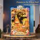 The Planet and the Rose DIY Book Nook Kit