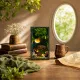 Hobbins Hovel DIY Book Nook Kit