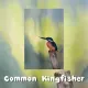 Postkarten - Malaysias Vogelkollektion (Serie 1)