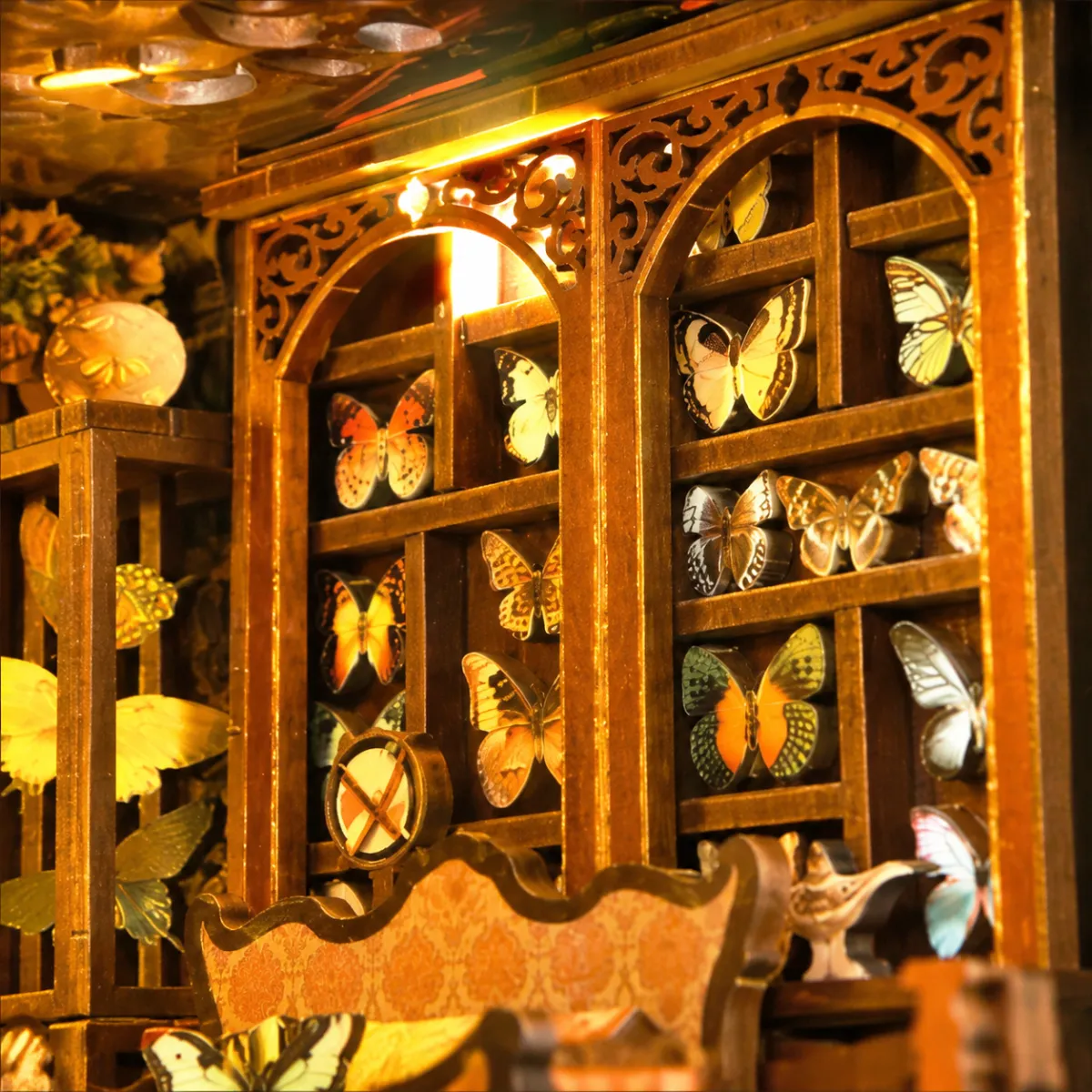 Butterfly Collection Wall Display